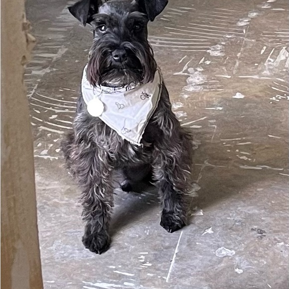 Meet your Posher, Johnny - Picture 8 of 12